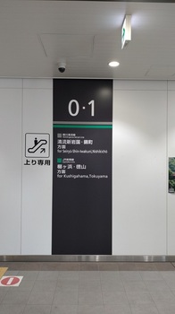 岩国駅.jpg